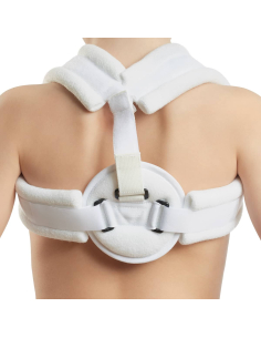 ANNEAU CLAVICULAIRE T2 2