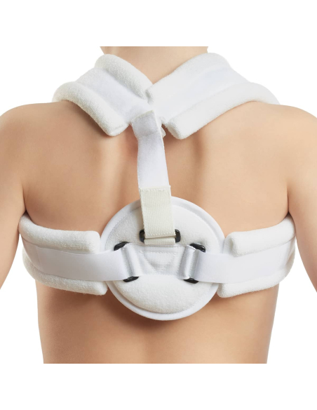 ANNEAU CLAVICULAIRE T2