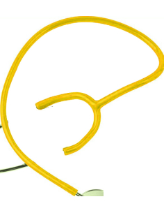 Stéthoscope BasicScope I...