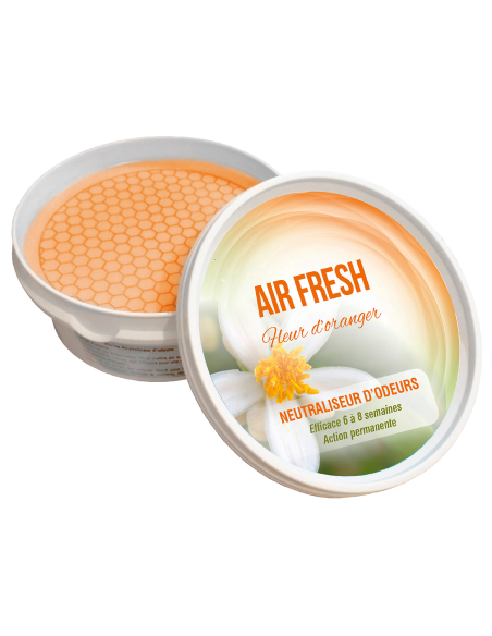 ABSORBEUR ODEUR AIR FRESH FLEUR ORANGER