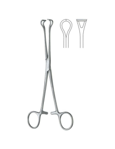 Pince Babcock 16 cm