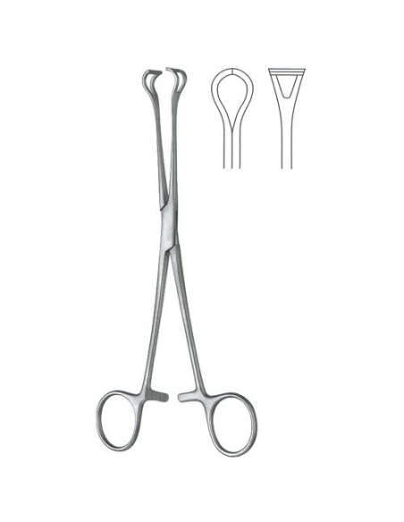 Pince Babcock 16 cm