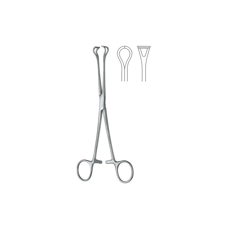 Pince Babcock 20 cm