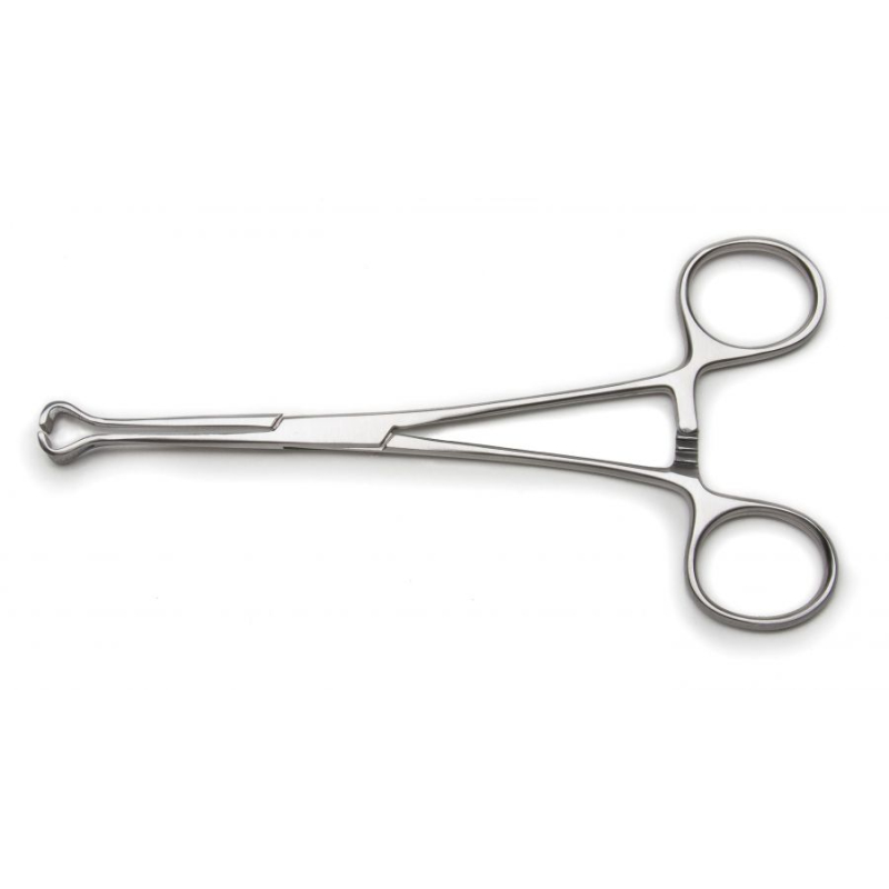 Pince Babcock 25 cm