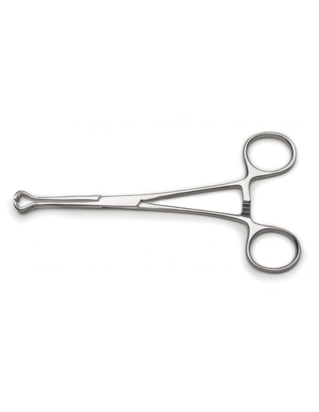 Pince Babcock 25 cm