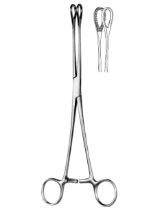 Pince Foerster droite 24 cm