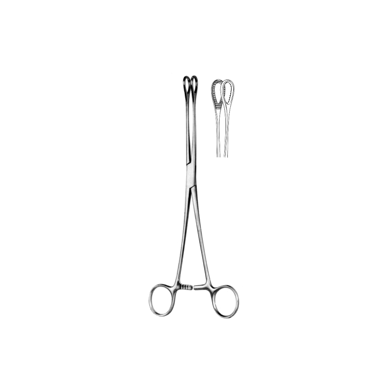 Pince Foerster droite 24 cm