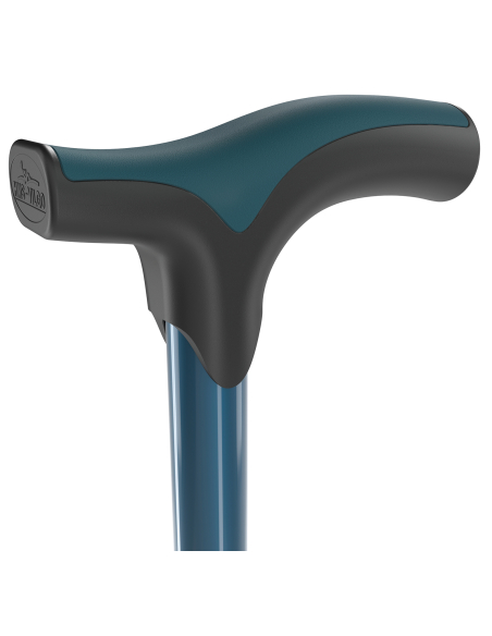 CANNE POIGNET T POP EPOXY BLEU VERT