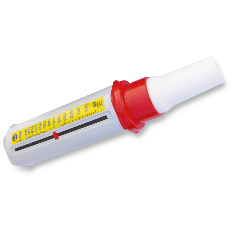 PEAK FLOW MINI WRIGHT ADULTE