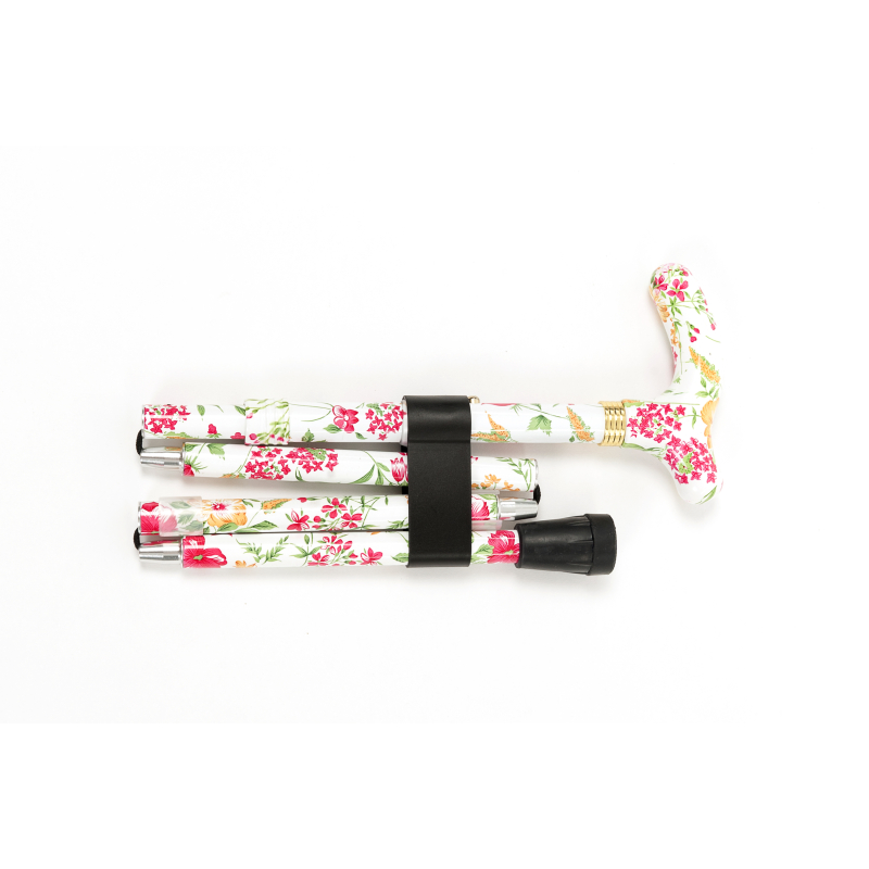 Cannes fixe forales FLORA 1