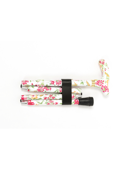 Cannes fixe forales FLORA 3