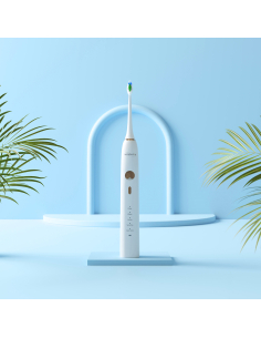 BROSSE A DENT ELECTRIQUE... 2