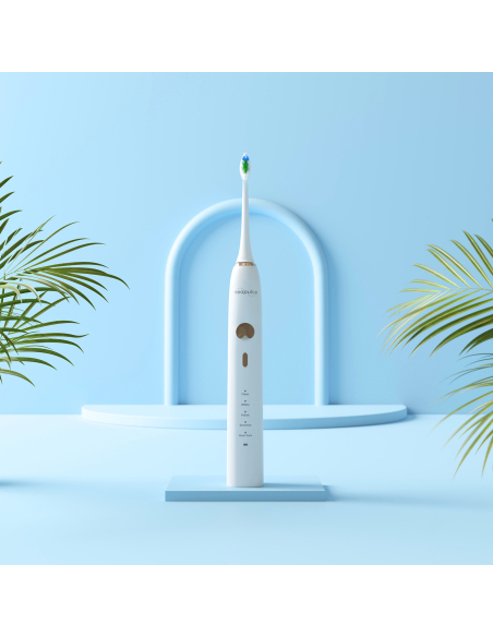 BROSSE A DENT ELECTRIQUE NEOSONIC BLANC
