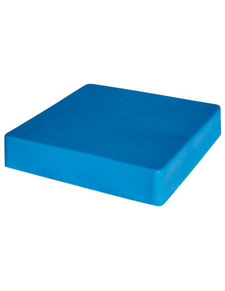 Coussin Standard VISCOFLEX® P361C 42 x 42 x 8 cm avec 2 housses POLYMAILLE®