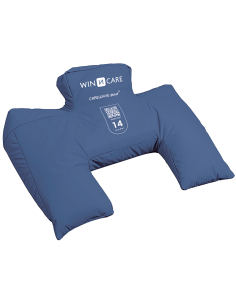COUSSIN SEMI FOWLER N°14...