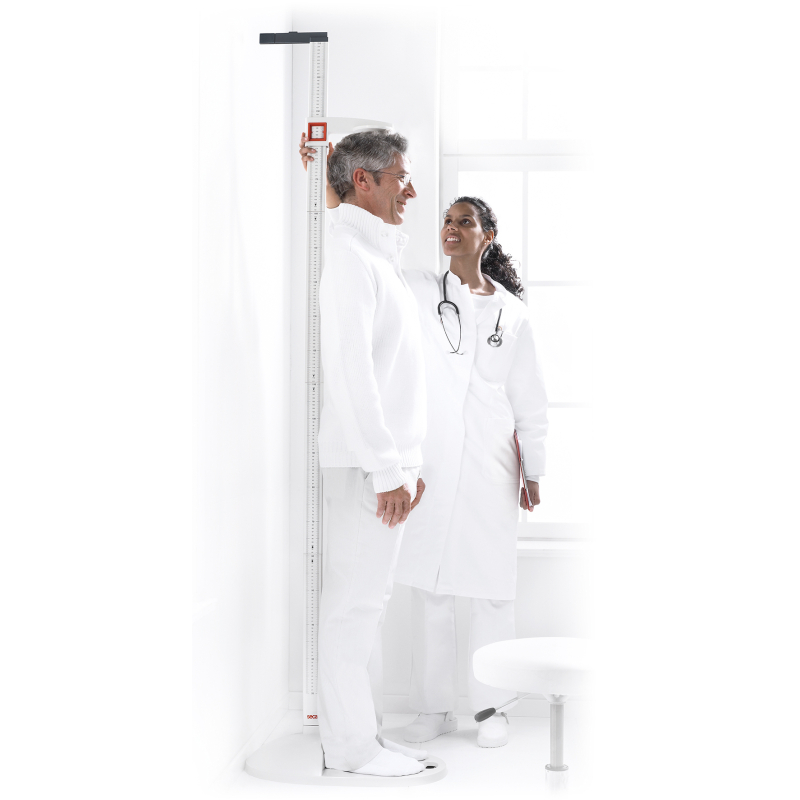 TOISE 213 DEMONTABLE 20 A 205 CM