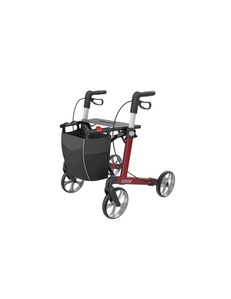 ROLLATOR SERVER L CHAMPAGNE