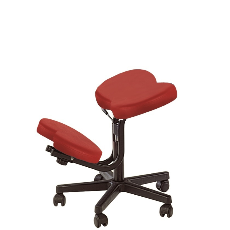ASSIS - GENOUX STANDARD