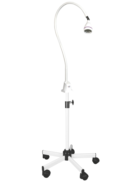 LAMPE LED GYNECO 4,5W 1000MM CARLAFOCUS