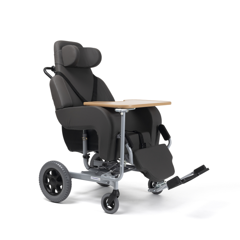 CORAILLE2.VI/40.44.B06.C29.PRUNE