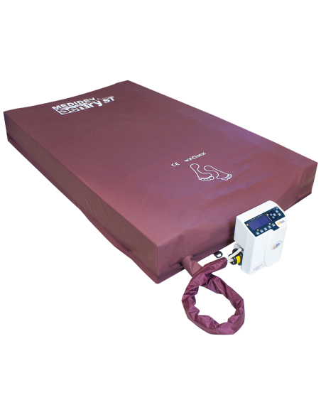 Unité de contrôle SENTRY 1200 ST DUAL