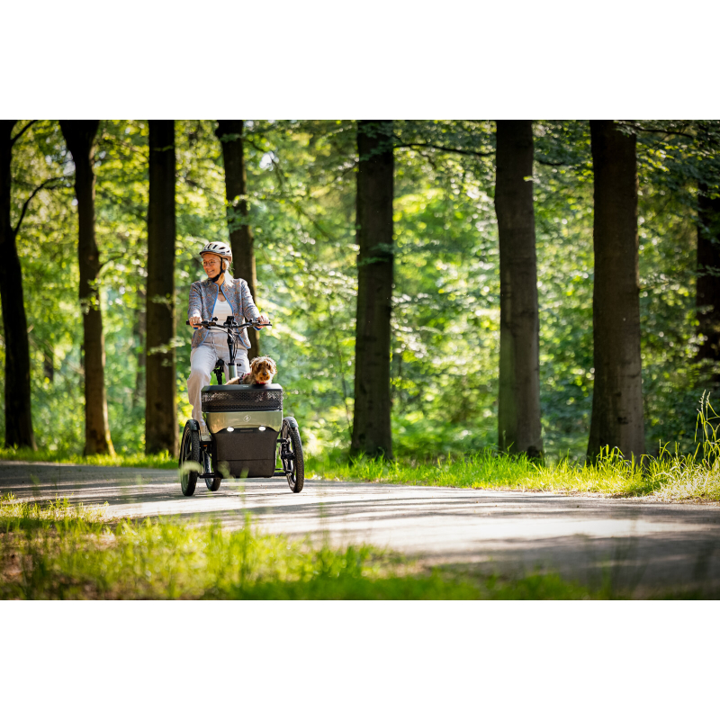 Thuja - tricycle adulte